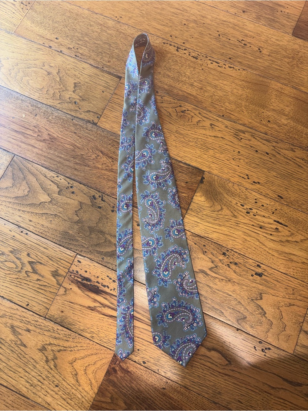 Jacques Estier Mens Green Paisley 100% Italian Silk Tie - Classic Formal